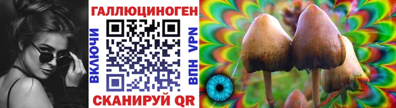 Купить где  Благовещенск  Галлюциногенные грибы MAGIC MUSHROOMS 